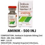 AMINIK-500 Injection
